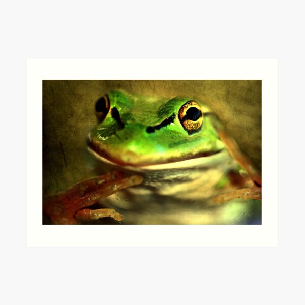 "Save ME !!!..........Take Care of Mother Earth !" Art Print