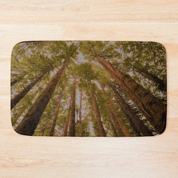 Item preview, Beech Forest... where the Redwoods keep getting taller! designed and sold by imaginethis.