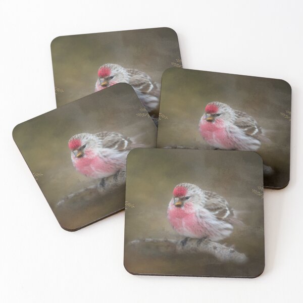 Item preview, Male Redpoll with Textures designed and sold by Michel (Mike) Soucy.