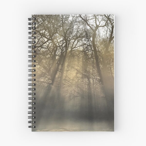 Item preview, Standing in the Shafts of Light designed and sold by relayer51.