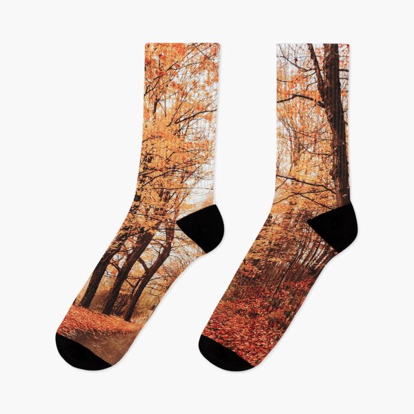 Item preview, autumn road in vermont designed and sold by franckreporter.