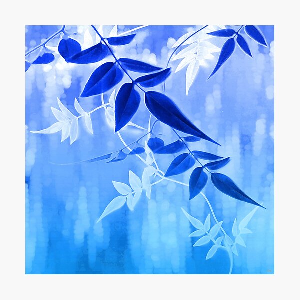 Lapis Jasmine Sunrise Photographic Print