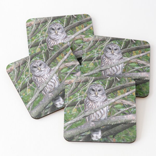 Item preview, Barred Owl designed and sold by Phoebetales.