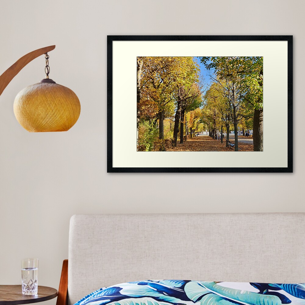 Vienna Schönbrunn Palace Gardens Framed Art Print