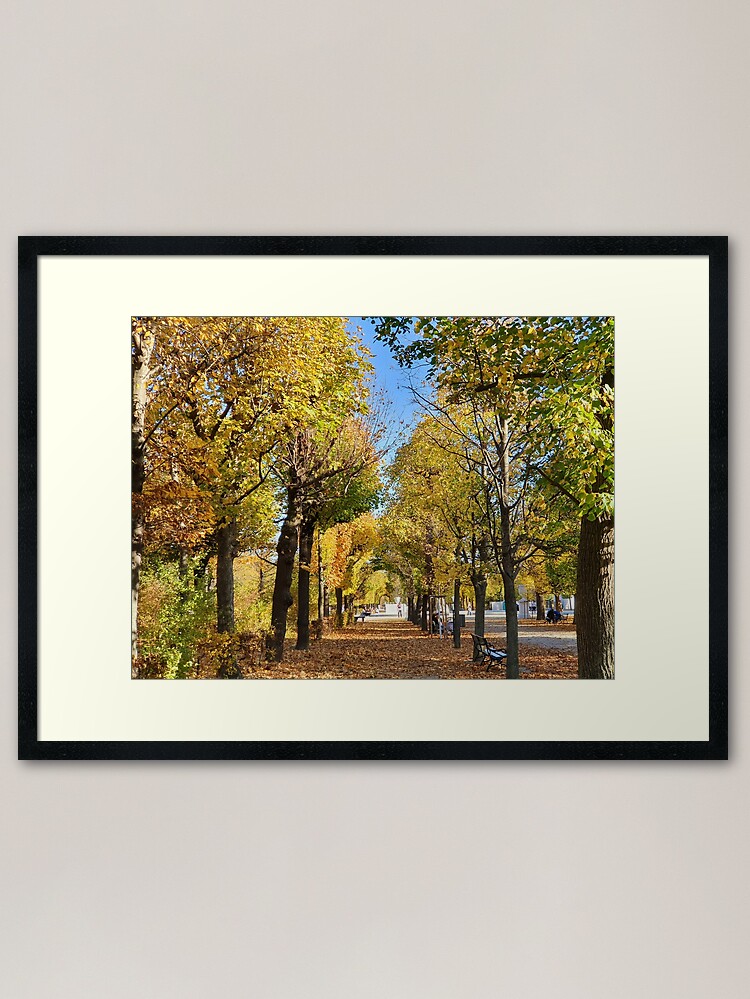 Alternate view of Vienna Schönbrunn Palace Gardens Framed Art Print