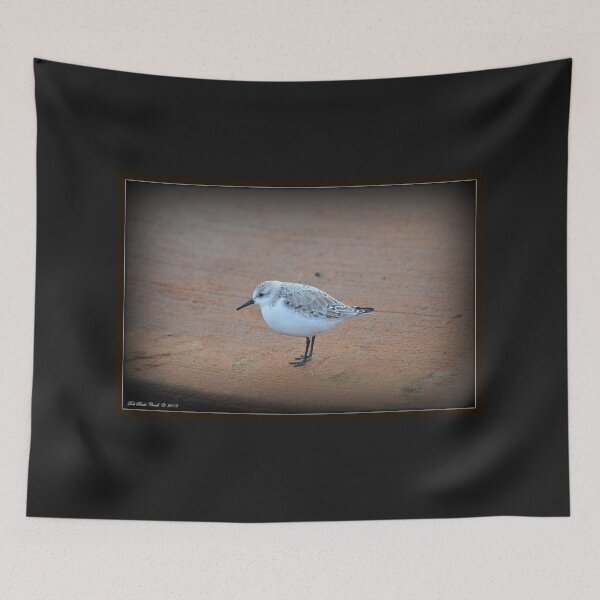 Item preview, Little Sanderling Buddy designed and sold by Deb  Badt-Covell.