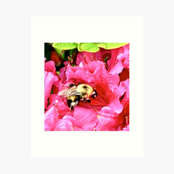BUSY BEES! Art Print