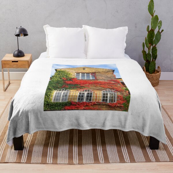 Item preview, Beautiful Architecture in Brno designed and sold by TalBright.