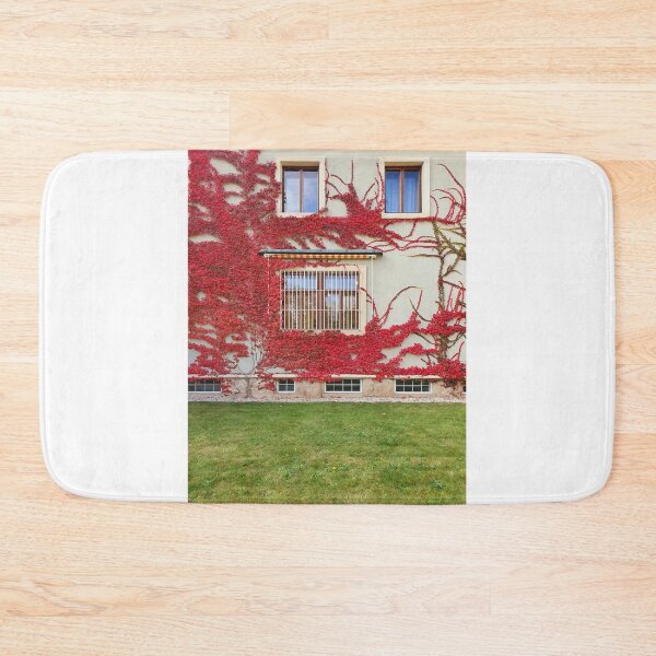 Item preview, Fall at Stiassni Villa, Brno designed and sold by TalBright.