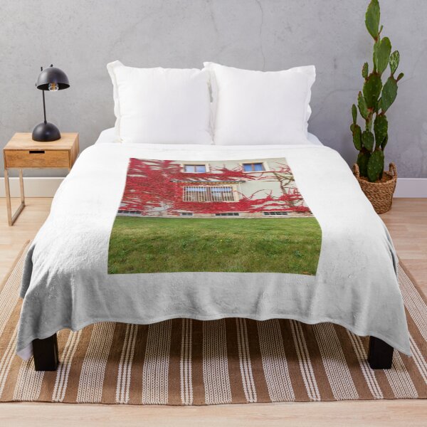 Item preview, Fall at Stiassni Villa, Brno designed and sold by TalBright.