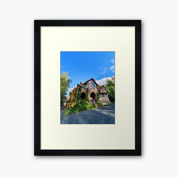Framed Art Print