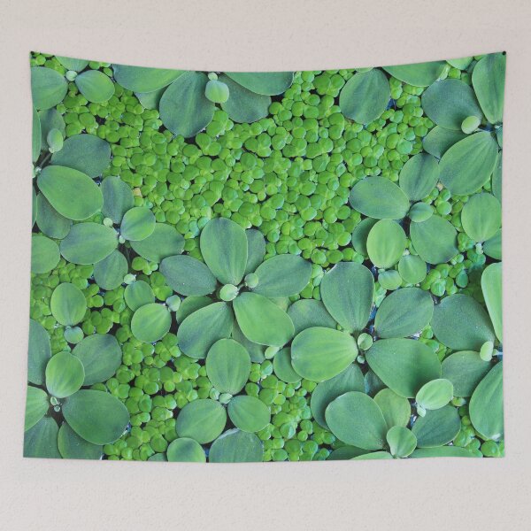 Item preview, Water plant designed and sold by BattaAnastasia.