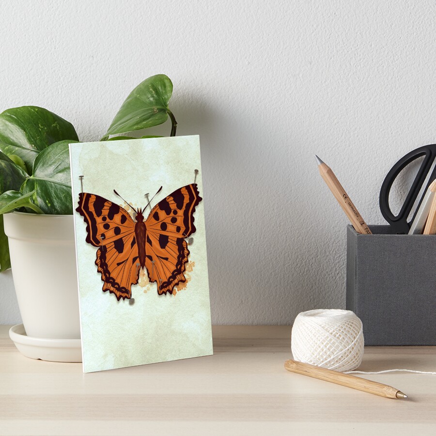 "Butterfly Pinned down" Art Board Print for Sale by MagpieMagic