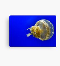 Jelly Baby Canvas Print