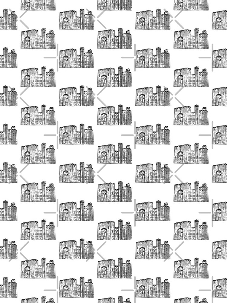 Caernarfon Castle Vector by tribbledesign