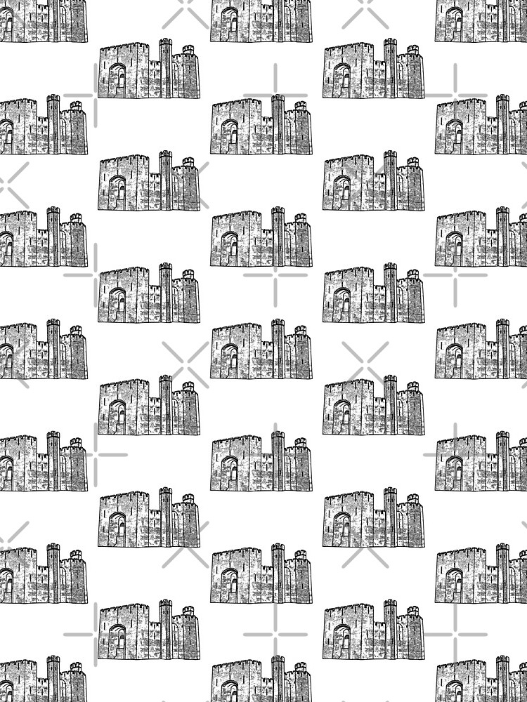 Caernarfon Castle Vector by tribbledesign