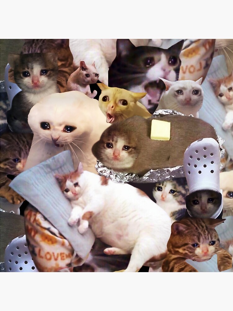 Crying Cat Memes Bag