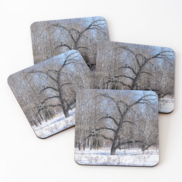 Item preview, Bur Oak tree. designed and sold by CanadianWild418.