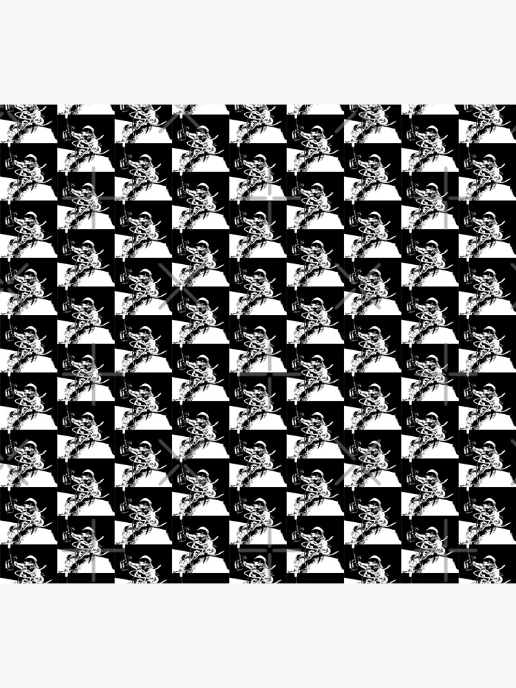 Black and White Vector Astronaut Ed White's Spacewalk by tribbledesign