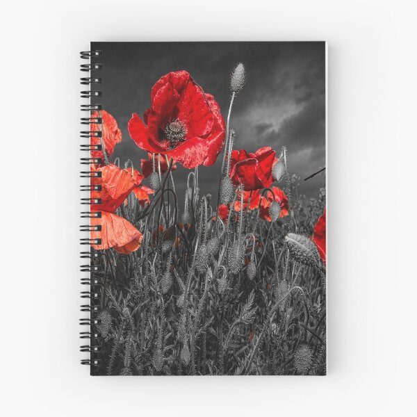 Item preview, Royal Marine Remembrance designed and sold by StephenJSmith.