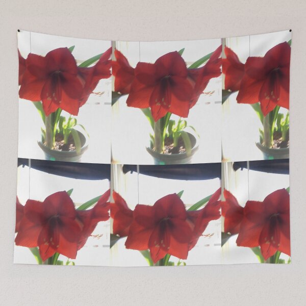 Item preview,  Amaryllis   designed and sold by Amanda1775.