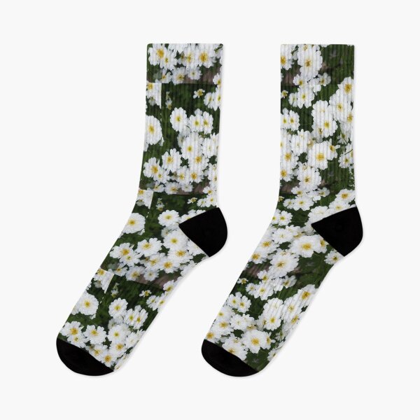 Item preview, Matricia Daisies designed and sold by Sandra Foster.