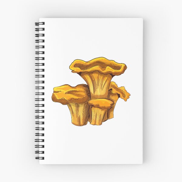 Item preview, Chanterelle Mushroom Sticker Design designed and sold by ParasolMushroom.