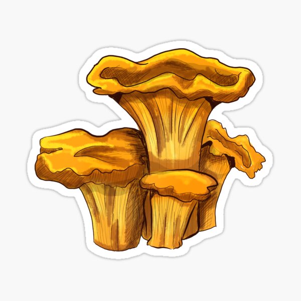 Item preview, Chanterelle Mushroom Sticker Design designed and sold by ParasolMushroom.