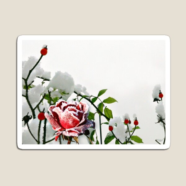 Item preview, Frosty Morning designed and sold by MoragBates.