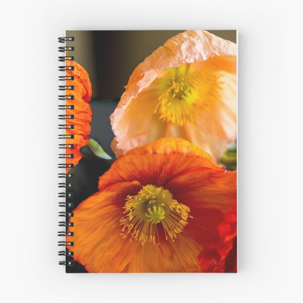 Artikelvorschau, Mehrfarbige Mohnblumen entworfen und verkauft von ClaireMarie Photography.