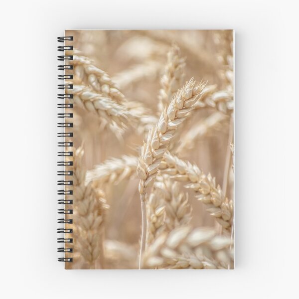Item preview, Golden wheat designed and sold by ArboreSciences.
