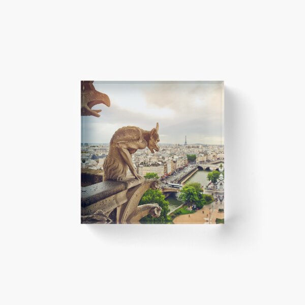 Item preview, Gargoyles in Paris, France, Basilica of Notre Dame designed and sold by ArtMarie.