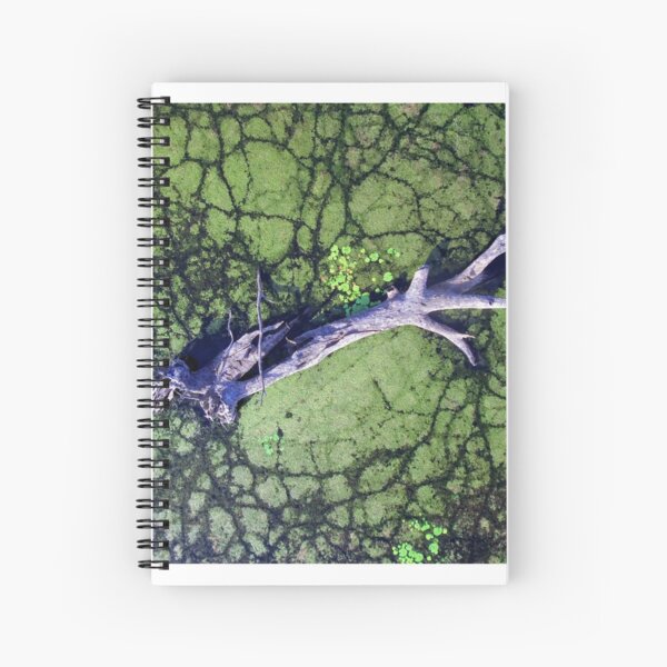 The Boynedale Tree Spiral Notebook
