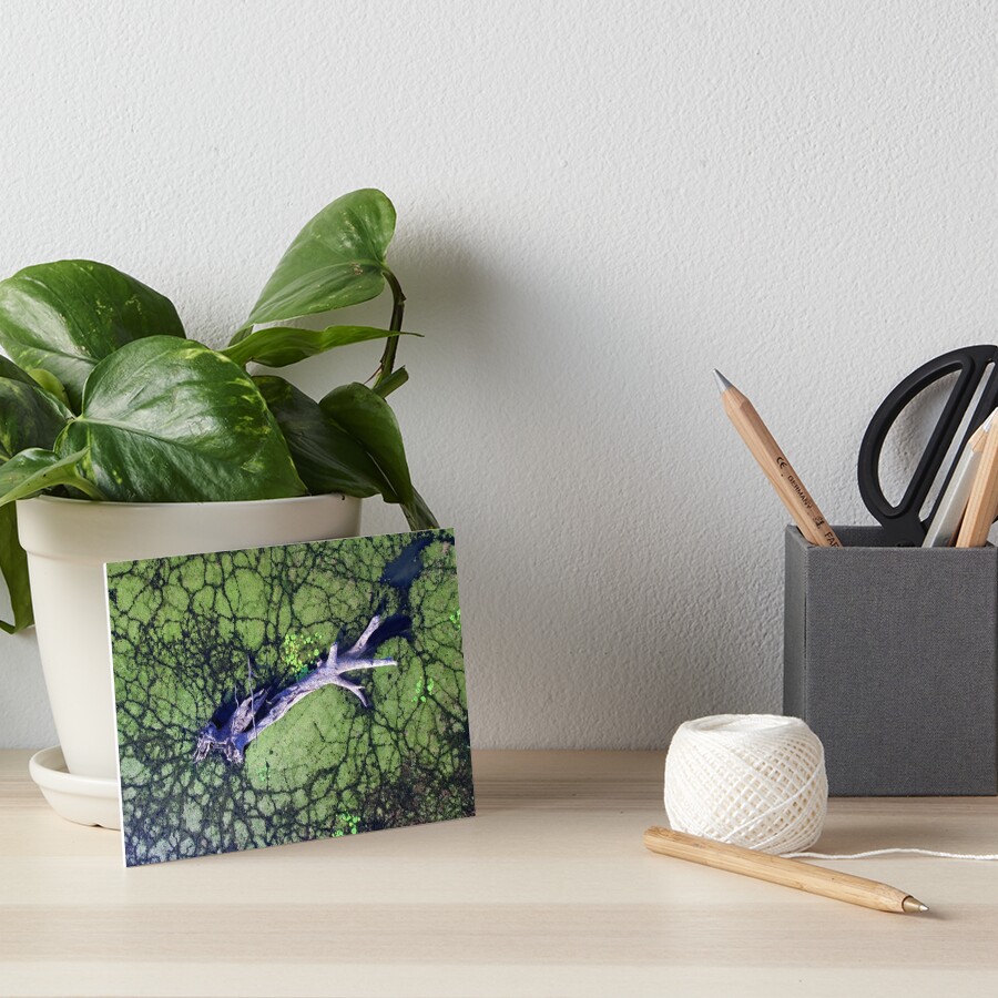 The Boynedale Tree Art Board Print