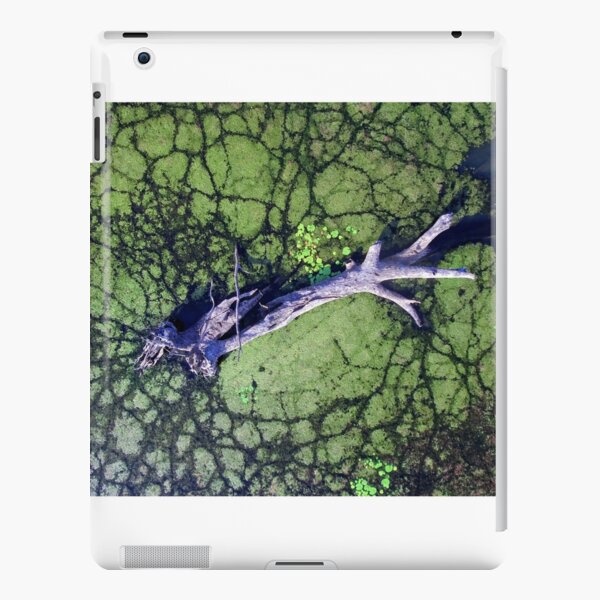 The Boynedale Tree iPad Snap Case