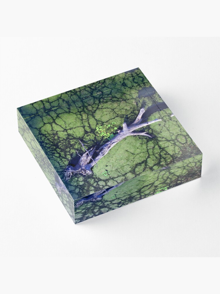 Alternate view of The Boynedale Tree Acrylic Block