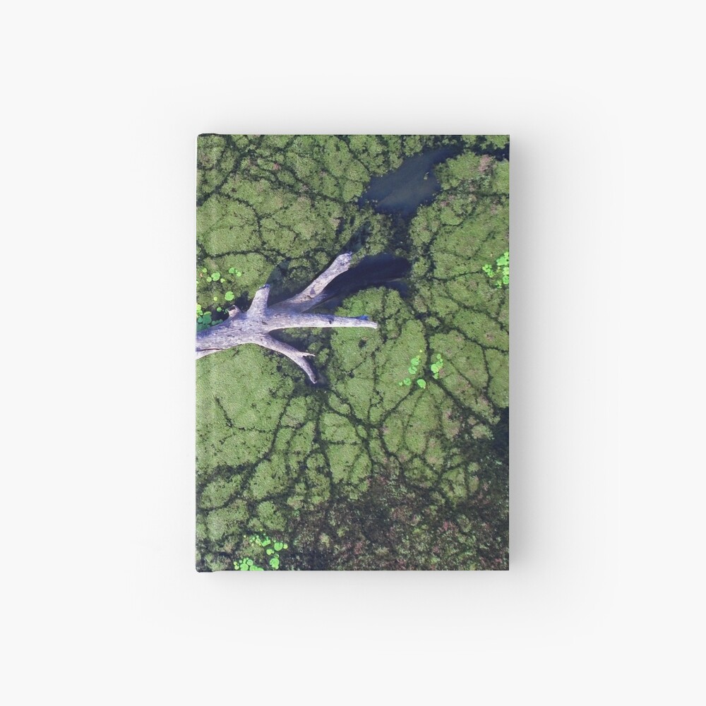 The Boynedale Tree Hardcover Journal