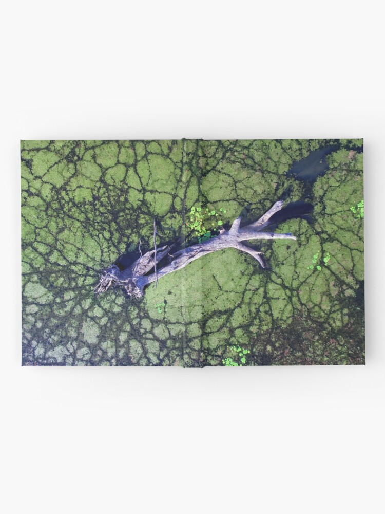 Alternate view of The Boynedale Tree Hardcover Journal