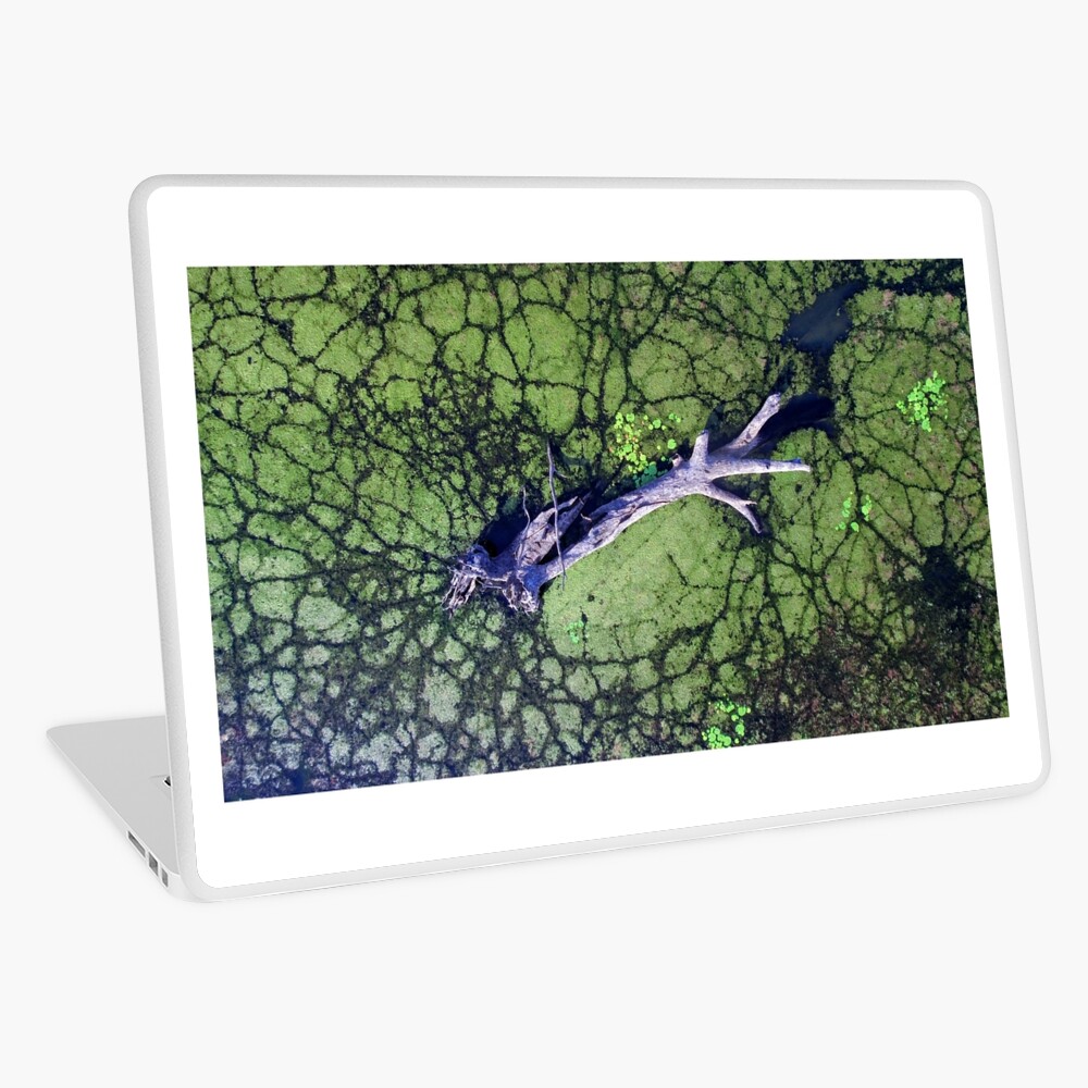 The Boynedale Tree Laptop Skin
