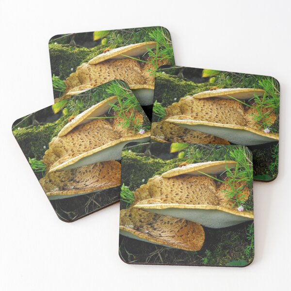 Item preview, Dryad's Saddle designed and sold by Billlee.