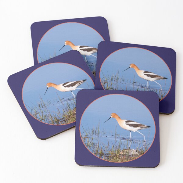 Item preview, American Avocet at Malheur National Wildlife Refuge designed and sold by AvocaSpring.