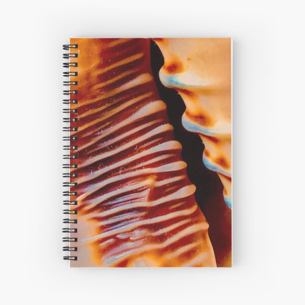 Into the Unknown Spiral Notebook