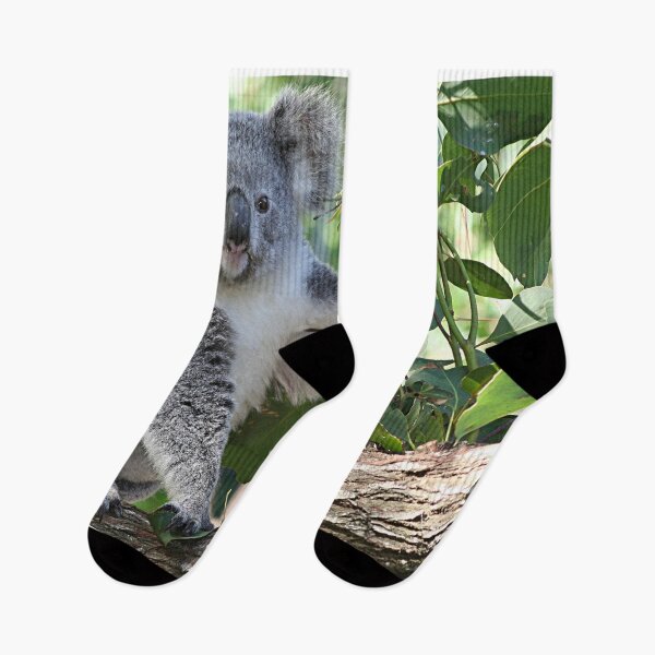 Item preview, Cute Australian koala in a gumtree designed and sold by FranWest.