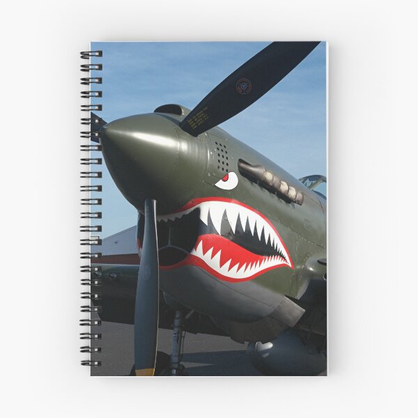Item preview, Curtiss P- 40 N - Kittyhawk.............! designed and sold by Roy  Massicks.
