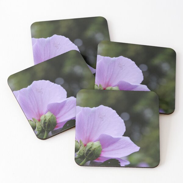 Item preview, Midsummer Bloom designed and sold by BlazerDesigns.