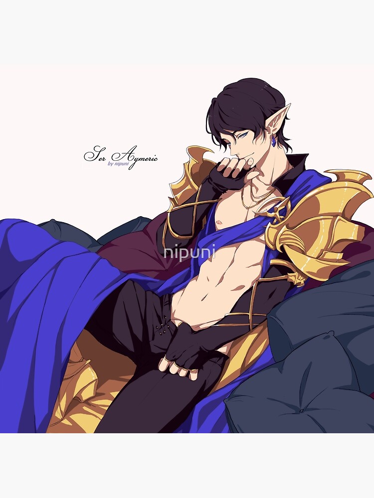 Ser Aymeric by nipuni