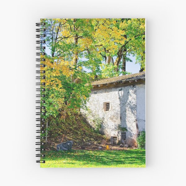 Item preview, Old little barn shed in Leutasch Tyrol Austria designed and sold by Elzbieta Fazel.