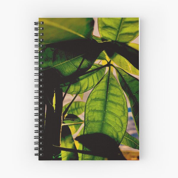Item preview, Transparency designed and sold by Tyler Hamilton.