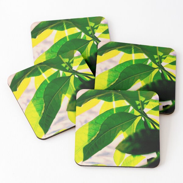 Item preview, Vibrancy designed and sold by Tyler Hamilton.