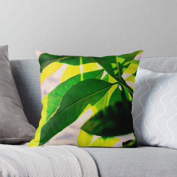 Item preview, Vibrancy designed and sold by Tyler Hamilton.